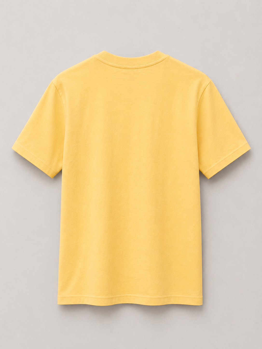 Gym Motivation Graphic Regular Fit T-Shirt